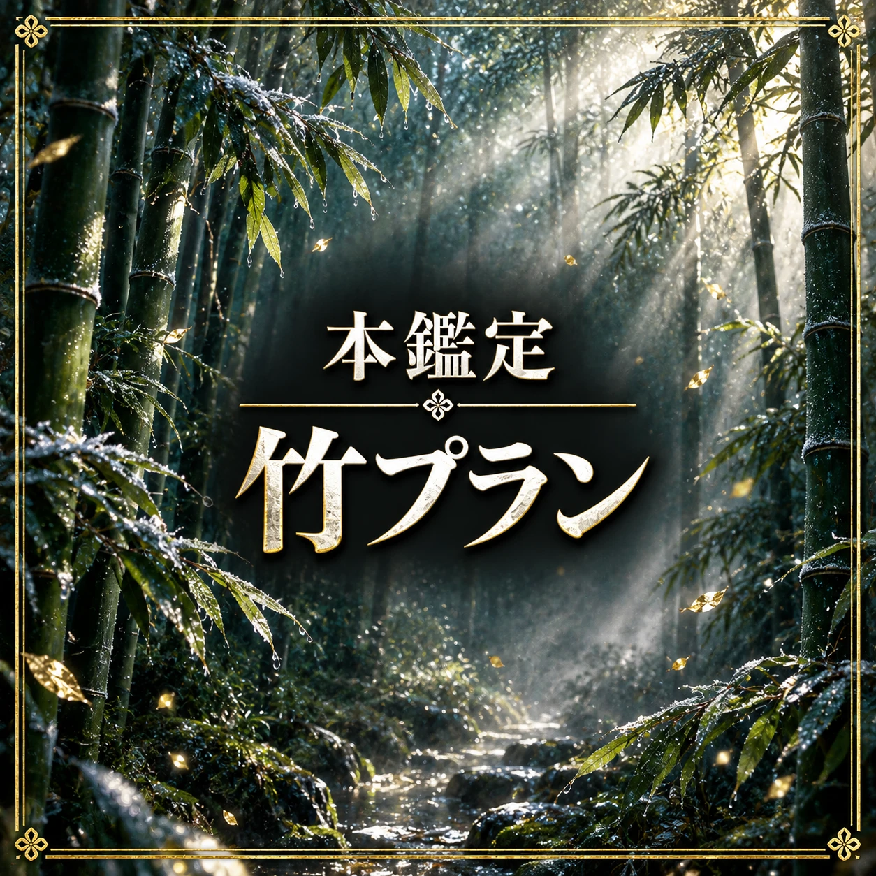 本鑑定 竹プラン